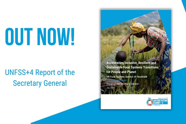 UNFSS+4 Report of the Secretary-General UNFSS+4 Report of the Secretary-General