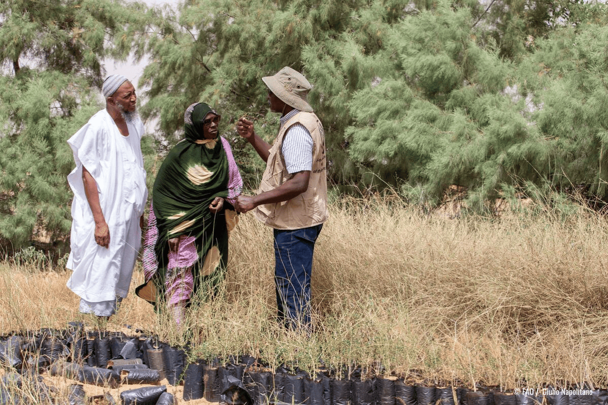 UN Food Systems Advisory Board