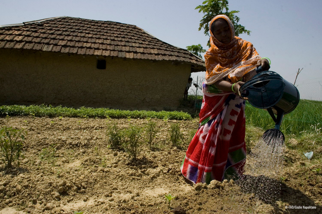 Climate Action and Food Systems