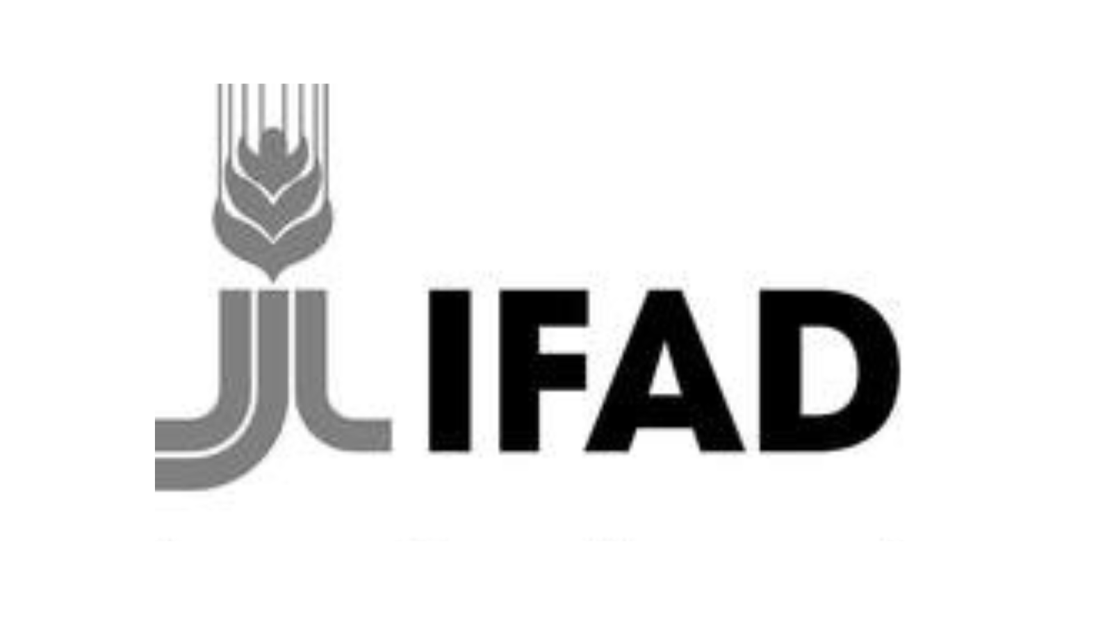 IFAD