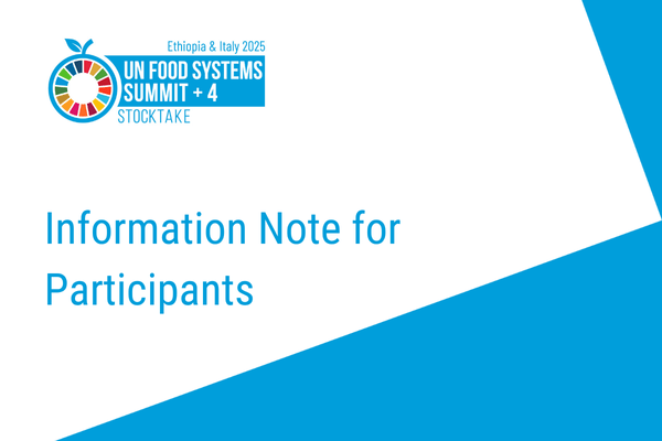Information Note for UNFSS+4 Information Note for UNFSS+4