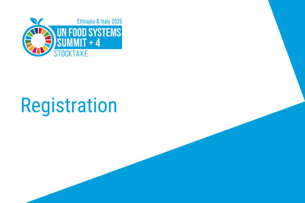 UNFSS+4 Registration UNFSS+4 Registration