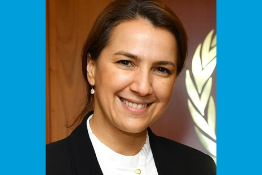 H.E. Mariam Almheiri