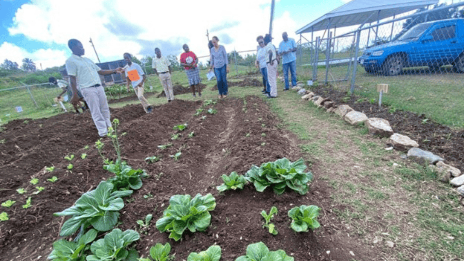 Gardening Competition